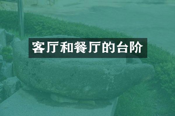 客厅和餐厅的台阶