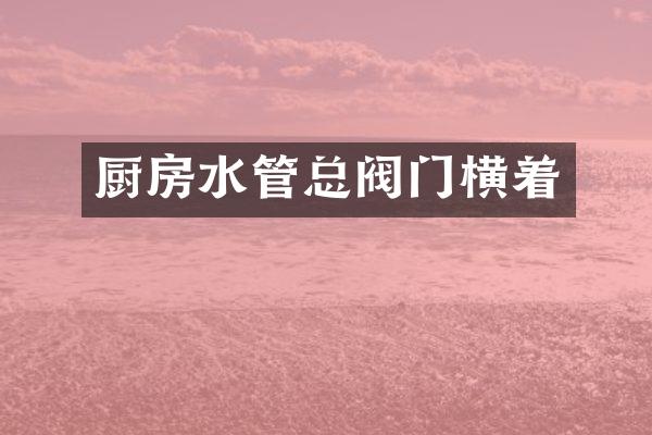 厨房水管总阀门横着