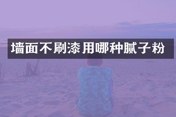 墙面不刷漆用哪种腻子粉