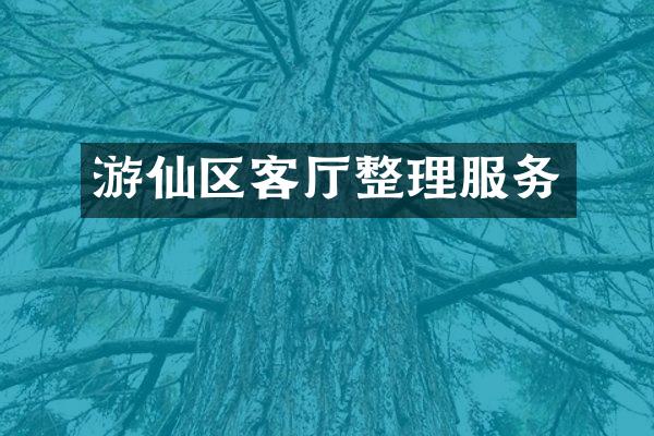 游仙区客厅整理服务