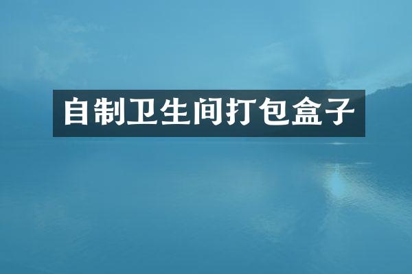自制卫生间打包盒子