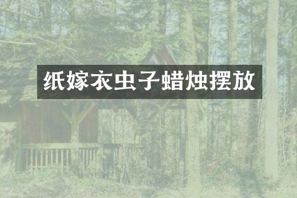 纸嫁衣虫子蜡烛摆放