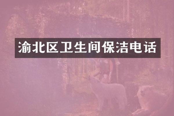 渝北区卫生间保洁电话