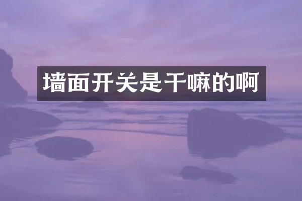墙面开关是干嘛的啊