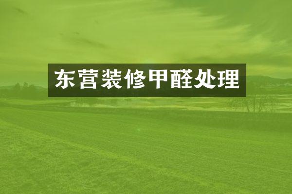 东营装修甲醛处理