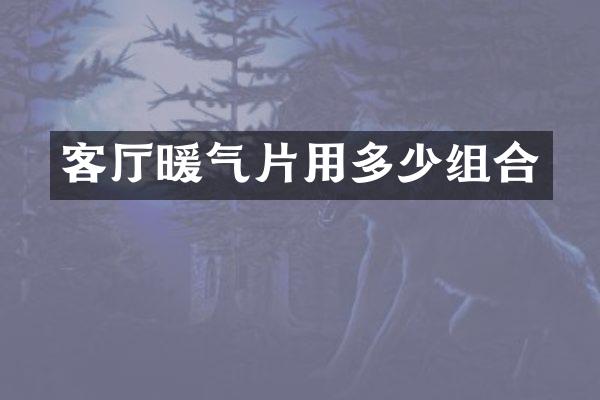 客厅暖气片用多少组合