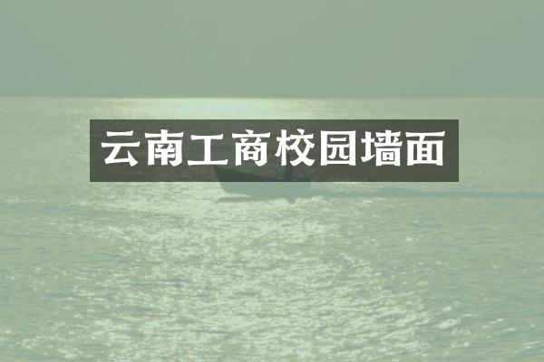 云南工商校园墙面