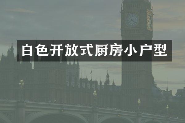 白色开放式厨房小户型