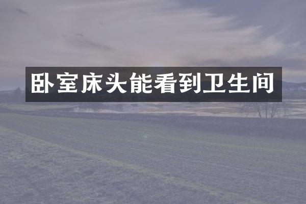 卧室床头能看到卫生间