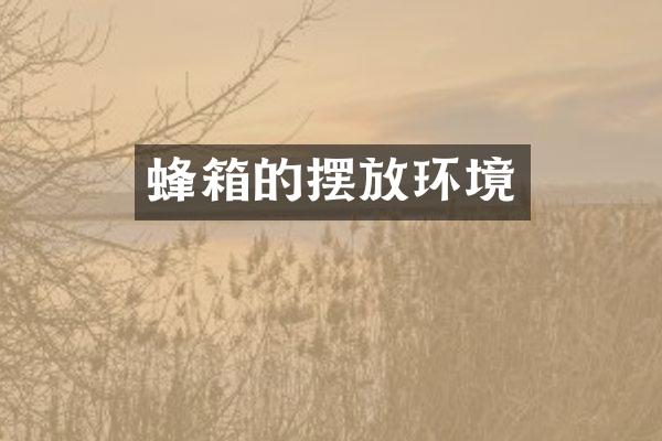 蜂箱的摆放环境