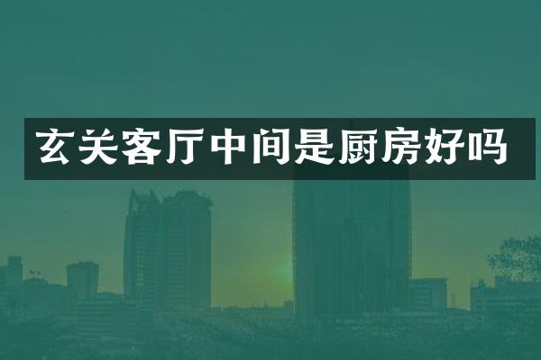 玄关客厅中间是厨房好吗