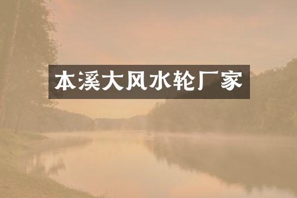 本溪大风水轮厂家