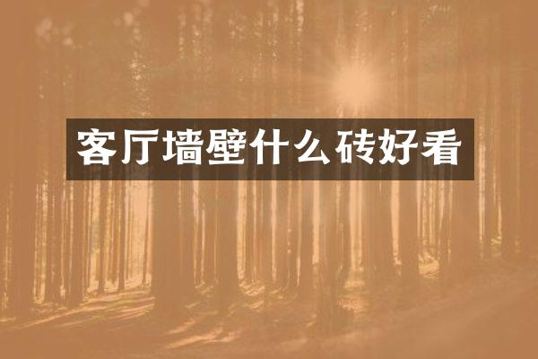 客厅墙壁什么砖好看
