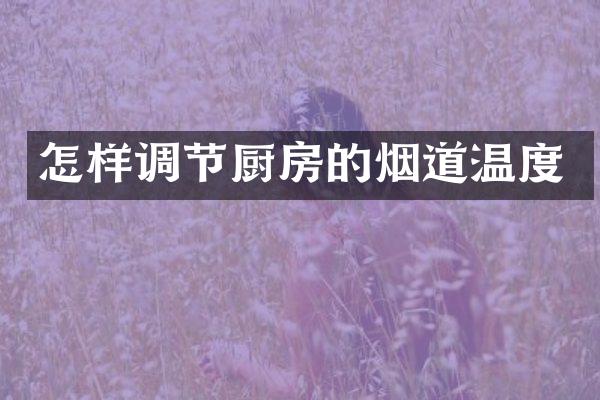 怎样调节厨房的烟道温度