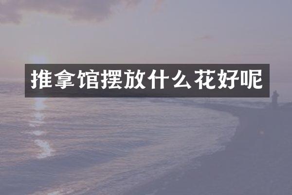 推拿馆摆放什么花好呢