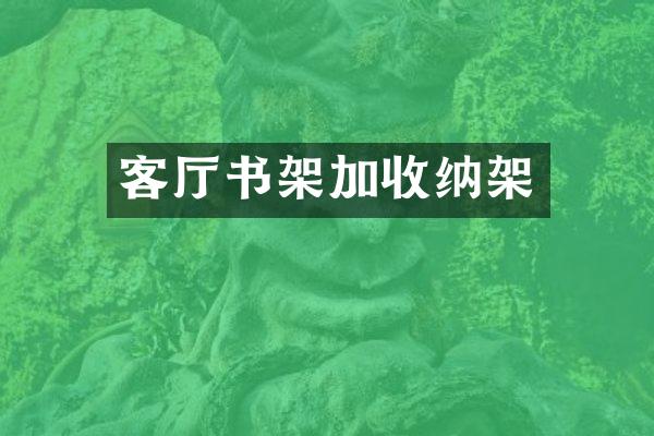 客厅书架加收纳架