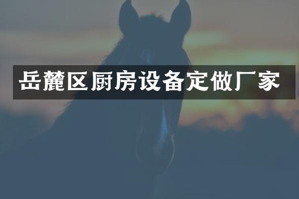 岳麓区厨房设备定做厂家