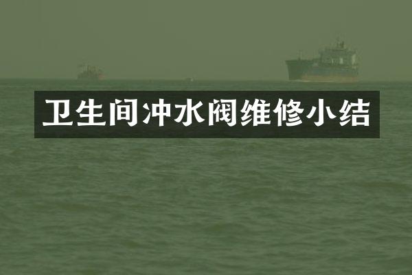 卫生间冲水阀维修小结