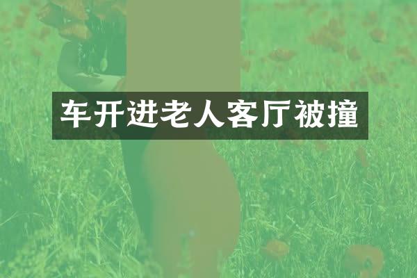车开进老人客厅被撞