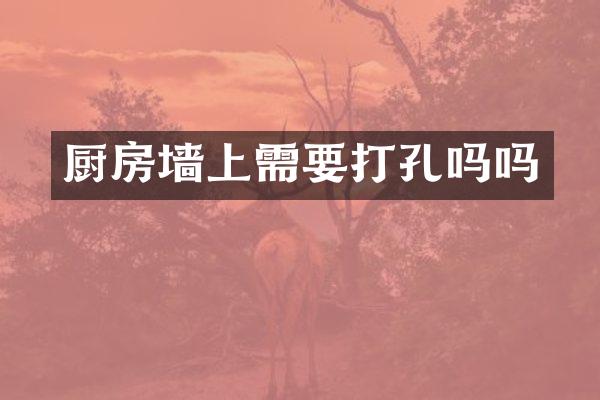 厨房墙上需要打孔吗吗