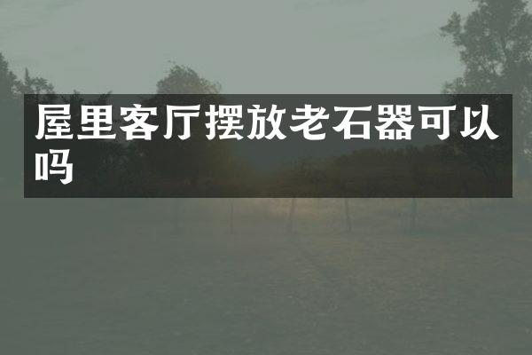 屋里客厅摆放老石器可以吗