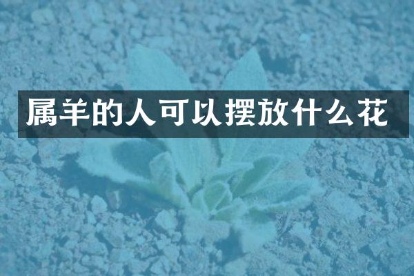 属羊的人可以摆放什么花