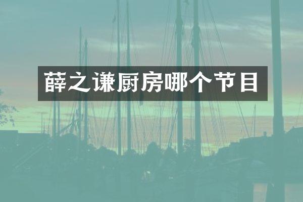 薛之谦厨房哪个节目