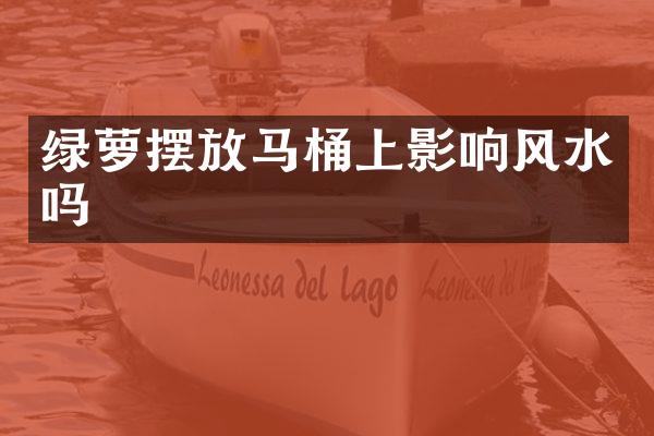 绿萝摆放马桶上影响风水吗