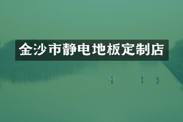 金沙市静电地板定制店