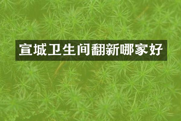 宣城卫生间翻新哪家好