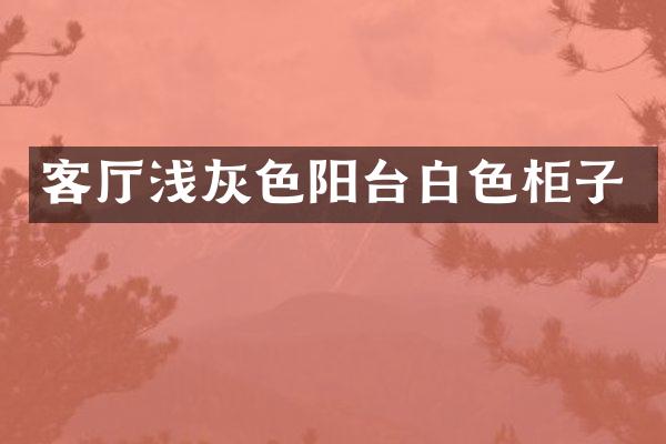 客厅浅灰色阳台白色柜子