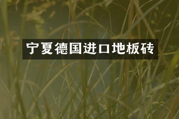 宁夏德国进口地板砖