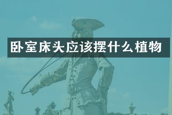 卧室床头应该摆什么植物