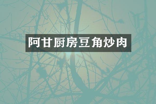 阿甘厨房豆角炒肉