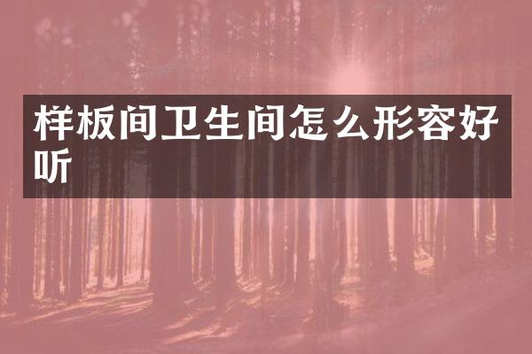 样板间卫生间怎么形容好听