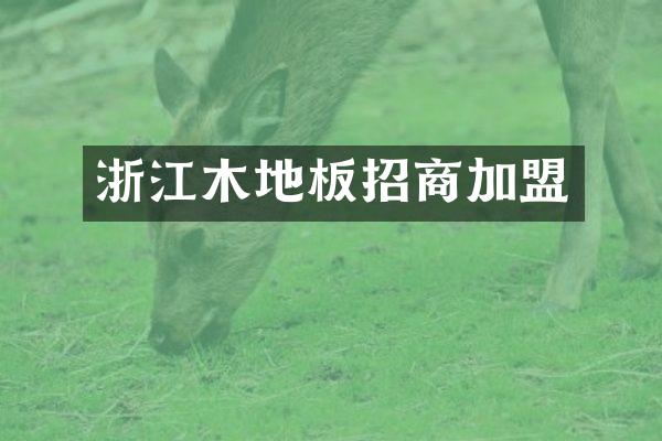 浙江木地板招商加盟