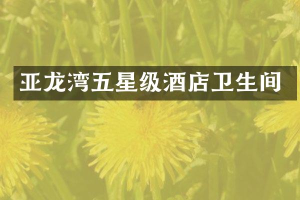 亚龙湾五星级酒店卫生间