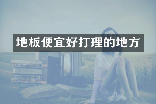 地板便宜好打理的地方