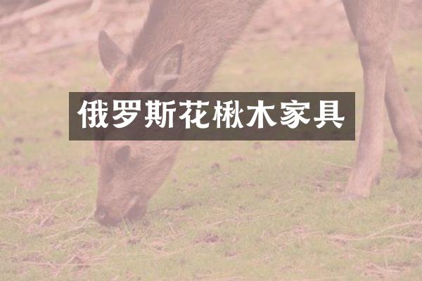 俄罗斯花楸木家具