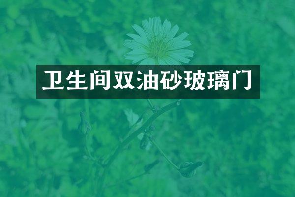卫生间双油砂玻璃门
