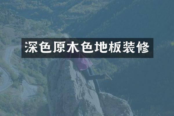 深色原木色地板装修