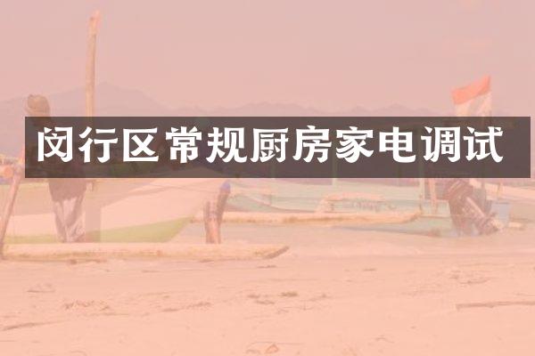闵行区常规厨房家电调试