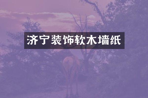 济宁装饰软木墙纸