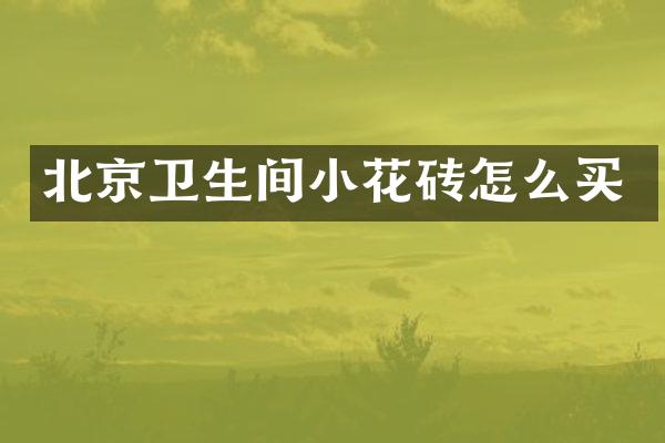北京卫生间小花砖怎么买