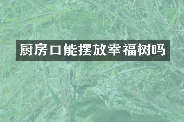 厨房口能摆放幸福树吗