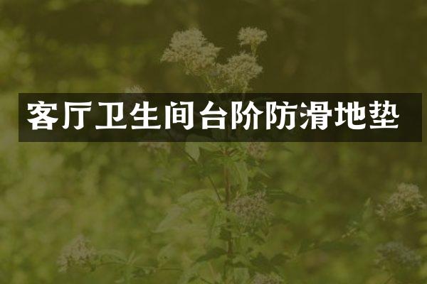 客厅卫生间台阶防滑地垫