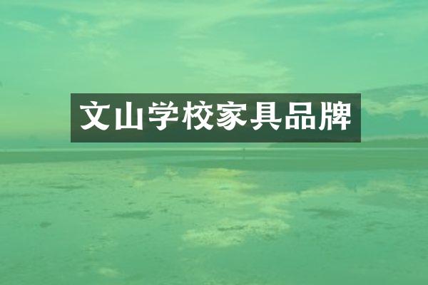 文山学校家具品牌