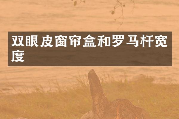 双眼皮窗帘盒和罗马杆宽度