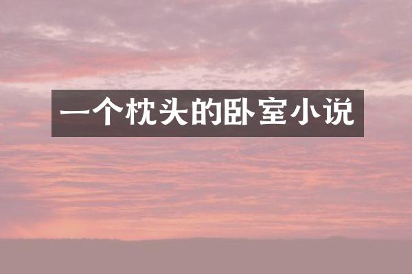 一个枕头的卧室小说