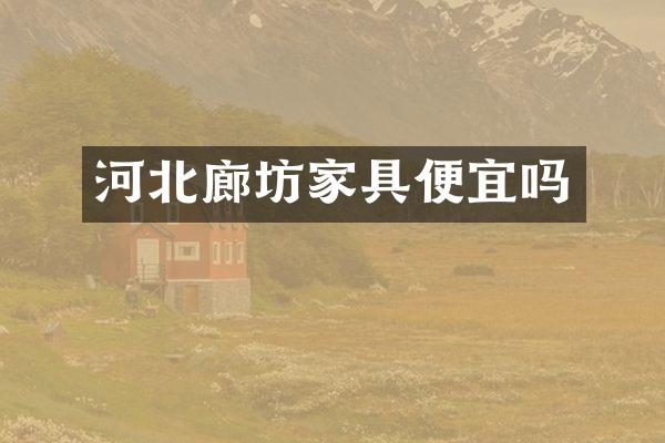 河北廊坊家具便宜吗